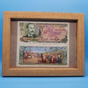 Costa Rica 5 Colones Bank Note